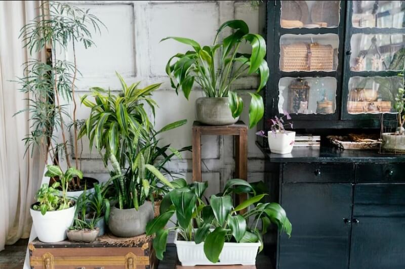 Mixing Real and Fake: Blending Artificial Plants with Natural Elements